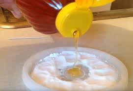 Piège à souris fait maison # piège à souris 2020 #4 Plus Jamais Vous Verrez Une Seule Fourmi Une Puce Ou Un Cafard Dans Votre Maison Grace A 1 Ingredient Puissant Trucs Et Astuces Trucs Et Bricolages