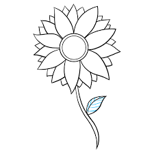 They can be fairly small, or grow to heights much taller than the average person. How To Draw A Sunflower Really Easy Drawing Tutorial