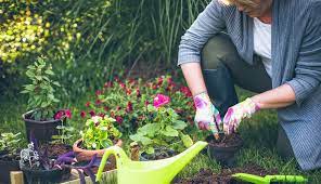 Gardening impacts everything from the air we breathe to the minimizing of carbon footprints we the sun's energy can heat up your home quickly, causing many people to run air conditioners and other. 5 Health Benefits Of Gardening And Planting