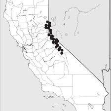 Explore the sierra nevada, the range of light, and enjoy photos and descriptions of activities such as mountain climbing, backpacking, hiking and fishing. Location Of Study Sites In Sierra Nevada Mountain Range California And Download Scientific Diagram