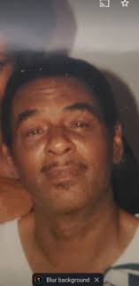 Jeb Lawn Llc Lawn Care Services in Tampa, FL