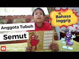 Berikan makanan yang halal dan bernutrisi (toyyiban). Anggota Tubuh Semut Ide Kegiatan Anak Belajar Bahasa Inggris Youtube