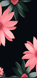 Super Flowers Background Iphone Pink Desktop Wallpapers 27 Ideas Pink Flowers Wallpaper Flower Background Iphone Phone Lock Screen Wallpaper Ios 11 has come up with so much for e.g share your wifi feature, screen recording feature, dark mode, and if you want to know more check out ios hidden features post. super flowers background iphone pink