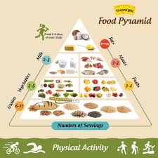 food pyramid food pyramid importance of food food