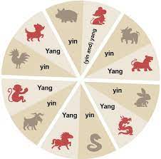 Chinese Zodiac: 12 Zodiac Signs, Horoscope 2022, Compatibility | Find Your  Zodiac Sign, Chinese Zodiac, Chinese New Year Zodiac