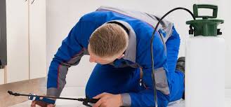 This inspection will describe and identify possible infestation, damage or conducive conditions from wdo's (wood destroying organisms) which can include certain insects and wood decay fungi (rot). Residential Pest Control Surrey Residential Pest Control Vancouver