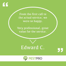 Walgreens pharmacy at 1171 w 2000 n antelope dr in layton, ut. 25 Best Pest Control Service Near Farmington Utah Facebook Last Updated Apr 2021