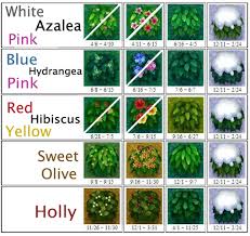 Image Bush Chart Png Animal Crossing Wiki Acnl Bushes Animal Crossing Animal Crossing Game