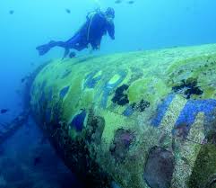 Explore The Wrecks Of Aruba When In Aruba