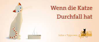 Durchfall Wie Gehe Ich Damit Um Katzenkrankheiten Katzen Ratgeber Ratgeber Pets Nature Online Shop