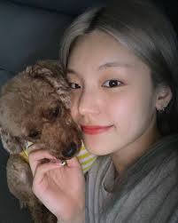 Adopt maltese dogs in florida. Itzy S Yeji Gains Attention For Her Pure Beauty Without Makeup In Recent Sns Post Allkpop