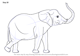 How to draw a bee for kids. Learn How To Draw An Elephant With Its Trunk Up Zoo Animals Step By Step Drawing Tutorials