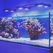 Island Style Aquascape Aquascape Aquascape Design Reef Tank