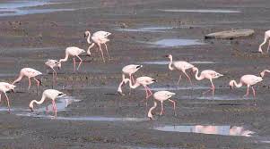 SEWRI JETTY (2026) All You Need to Know ...