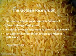 This article uses golden rice, a species of transgenic asian rice which contains a precursor of vitamin a in the edible part of the plant as an example of ge/gmo emphasizing chinese experience in agricultural evolution. Genomics Medicine And Pseudoscience July 2016