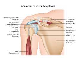 Impingement Syndrom Der Schulter Schulter Syndrom