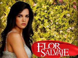 Pin By Bibi On Mis Novelas Favoritas Telenovelas Movie Tv Tv Shows