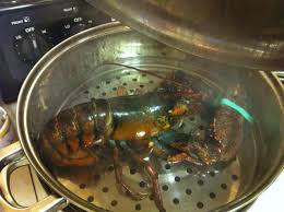 Impressive enough for a holiday or special occasion, but versatile enough for a weeknight, these beef tenderloin recipes are bound to become family favorites. Wasabi Pepper Sauce Tastingmenu