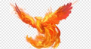 Phoenix Illustration U5927u5929u4f7fu4e4bu5251 Flame Fire Brilliant Phoenix Orange Computer Wallpaper Animal Png Pngwing Fire phoenix wallpapers is a cool new app that brings all the best hd wallpapers and backgrounds to your android device more colorful, and you for your android phone! phoenix illustration