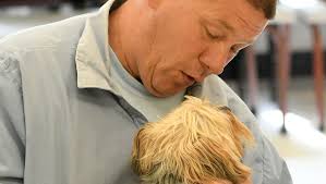 Richland Correctional training program a godsend for Ashland County Dog  Shelter