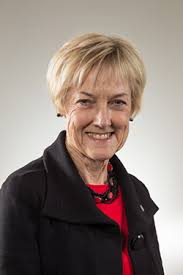 Introducing the new Bay of Plenty Health Consumer Council (2018)