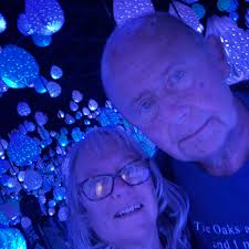 Has anyone used CBD for dog car anxiety and what worked for them?