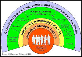 We did not find results for: Social Ecological Model Of Health And Its Application To Chronic Obstructive Pulmonary Disease Copd First Draft Siphathokuhle Bhebhe Rn Bn Gnc C