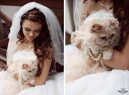 12 Best Dressed Pets At Weddings Wedding Pets Cat Wedding Wedding