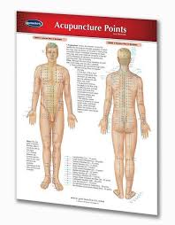 Acupuncture Points Chart Quick Reference Guide