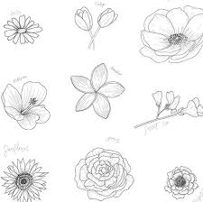Image May Contain Drawing In 2020 Flower Drawing Design Flower Art Painting Hand Lettering Art