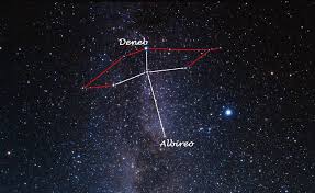 Resultado de imagen de constelación del cisne