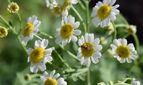 How do i become a beekeeper? Become A Beekeeper Betterbee