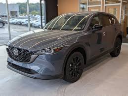 Image result for Polymetal Gray 2025 CX-70