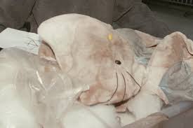 The hello kitty murder was a 1999 case in which a nightclub hostess was abducted and tortured in an apartment in tsim sha tsui, hong kong, after stealing a wallet. Hello Kitty Murder To The Jars Killer Five Of Hong Kong S Most Gruesome Crimes South China Morning Post