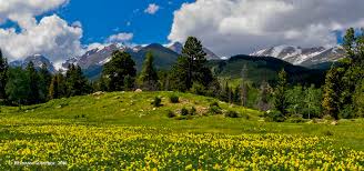 With majestic mountains in the for background. Rocky Mountain National Park