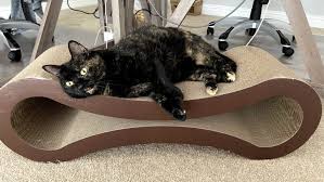 Petfusion ultimate cat scratcher lounge. Petfusion Ultimate Cat Scratcher Lounge Review Reviewed