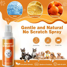 GOLRISEN Cat Repellent Spray Bottle - Viridian