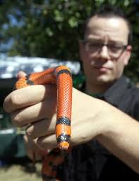 Richmond County Fair final contest results