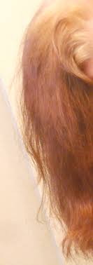 When you are bleaching your locks, use a toner together with peroxide. Orange Hair Misadventures In Going Natural From Dark Brown Part I With Christian Eyes