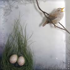 Meet ASCB Vendor Faryn Davis of Fernworks