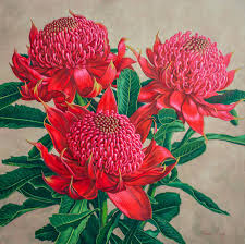 Red Waratah Beauty 3 By Fiona Craig Flower Painting Flower Art Floral Painting