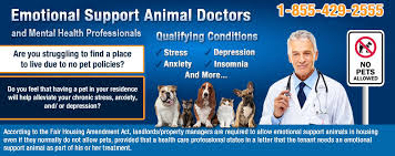 Our primary goal is to increase quality of life through therapy, self analysis and enacting positive change. Emotional Support Animal Prescription Letter Flying Housing