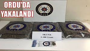 Ordu Gazete Ordu Gazete Banyo Dolabi