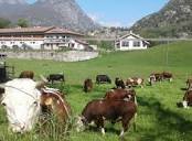 Le Rocher fléuri - Farm holiday | Aosta Valley