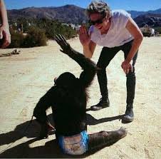 Pin By Zayn Malik S Girl Rebekha G On Niall James Horan Niall Horan Irish Boys James Horan