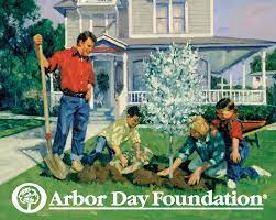 Tylenol and advil are both used for pain relief but is one more effective than the other or has less of a risk of si. Go Plant A Tree 5 Odd Facts About Arbor Day Live Science