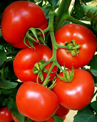 De asemenea, fiecare utilizator este ajutat de interfața intuitivă și ușor de folosit a platformei. Sere De RoÈ™ii Olanda Serviciu Romanesc