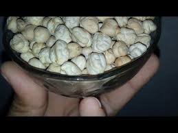علاج لمرض خطير خرب بيوت كثير من الناس مرض يقتل الإنتصاب عند الرجال 0657890401 Youtube In 2020 Food Cheese Dairy