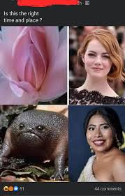 i hate what happened to this group : rbadwomensanatomy