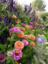Pin On Garden Combos
